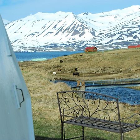 Sky Sighting Igluhus - Stay'In Arbakki Arskogssandur Εξωτερικό φωτογραφία